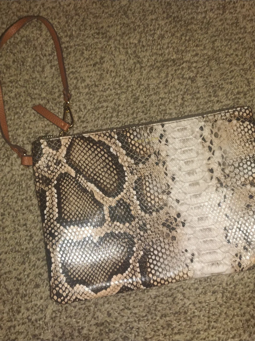 Anne Klein Snake-Print Cosmetic Bag in Brown and Tan